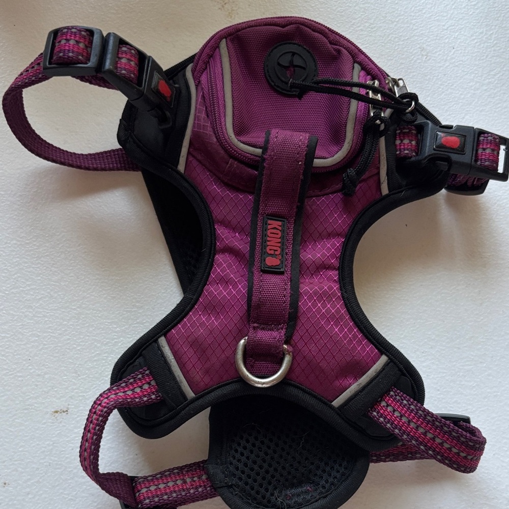 KONG Magenta Dog Harness